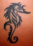 Seahorse.org member/moderator, LisaD's Hippocampus tatt.