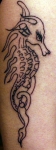 Seahorse.org member, Punkrockandroll's Hippocampus tatt.