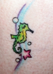 Dawns Hippocampus tatt.