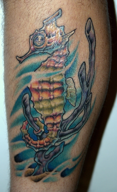 Seahorse.org member/moderator, Panmanmatt's Hippocampus tatt.