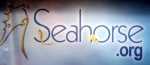 Seahorse.org Logo